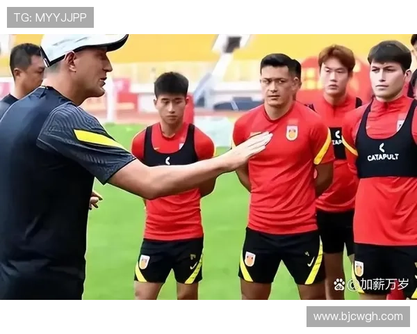 国家队迎关键战役新帅磨合阵容冲击世界杯希望备战亚洲区预选赛